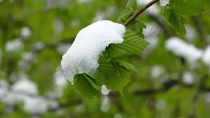 Meteoroloji uyardı: Çiftçiler dikkat!