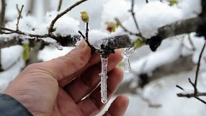 Meteoroloji'den zirai don uyarısı