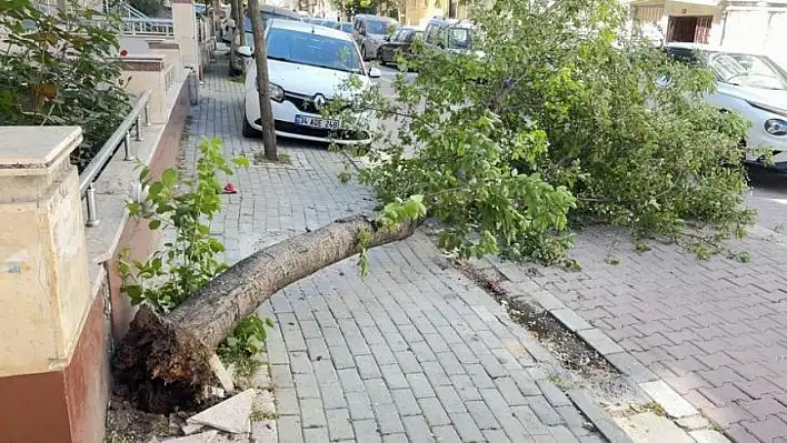 Meteoroloji uyardı: 'Kuvvetli' olacak