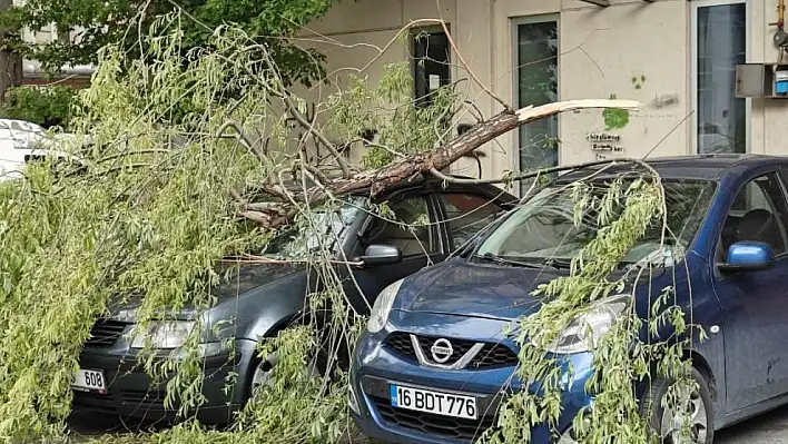 Meteoroloji uyardı: Kuvvetli rüzgara dikkat