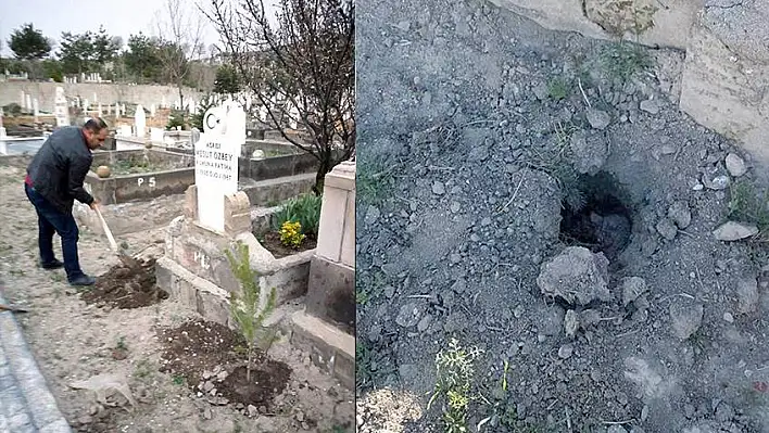 Mezar başına dikilen fidanı çaldılar