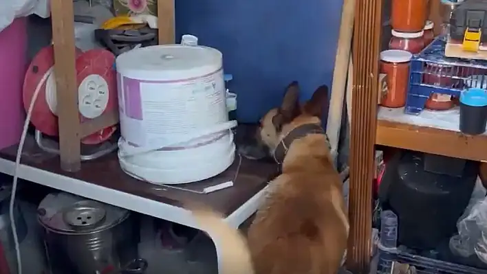 Mia gereğini yaptı!
