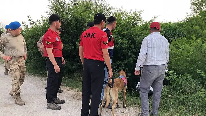 Mısır tarlasında kayboldu, özel eğitimli köpeklerle aranıyor