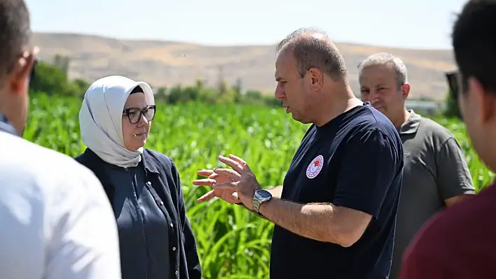 Müdür Saklav, Vekil Böhürler'e bakın ne anlattı?