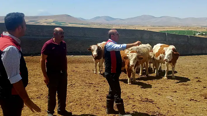 Müdür Tomarza'da sahaya indi