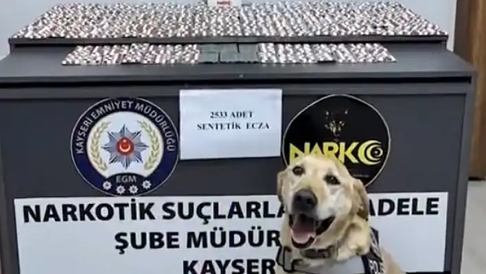 Narkotik köpeği Jack, Kayseri'de binlerce hap yakalattı