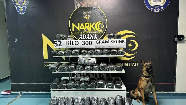 Narkotik köpek 'Oscar' 52 kilo skunk yakaladı