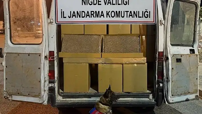 1 milyon 200 bin makaron ele geçirildi