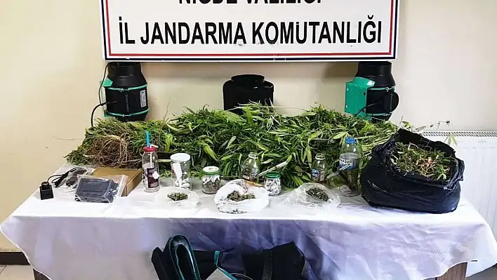 Niğde'de jandarmadan uyuşturucu operasyonu: 1 gözaltı