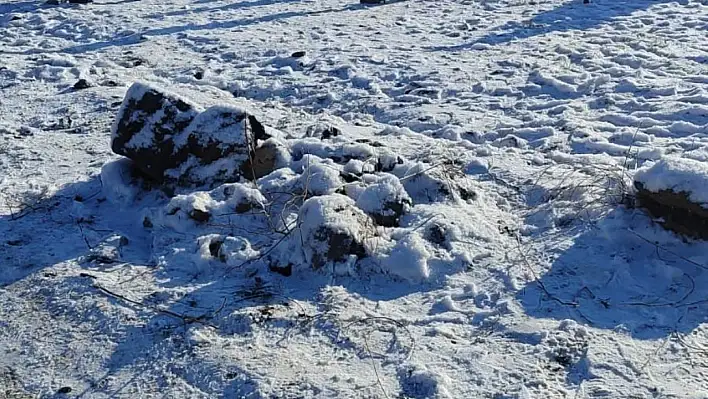 83 vicdansız suç üstü yakalandı