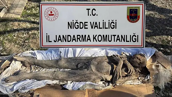 Niğde'de mumya operasyonu yapıldı: Çok sayıda gözaltı var