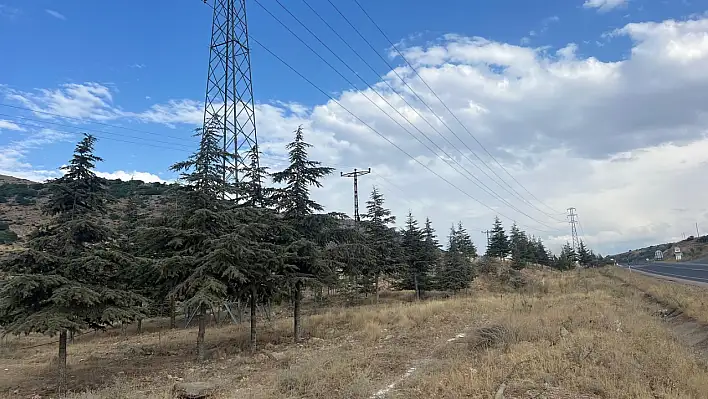 O ilçeye yeni mezarlık yapılacak