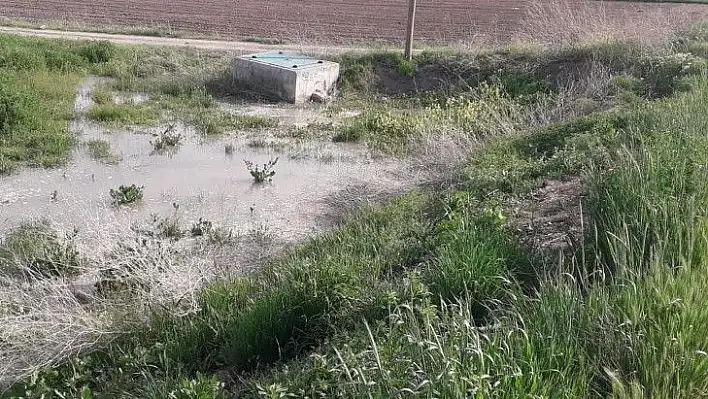 O mahallede tarlalar göl oldu! Muhtar ilgisizliğe  isyan etti!