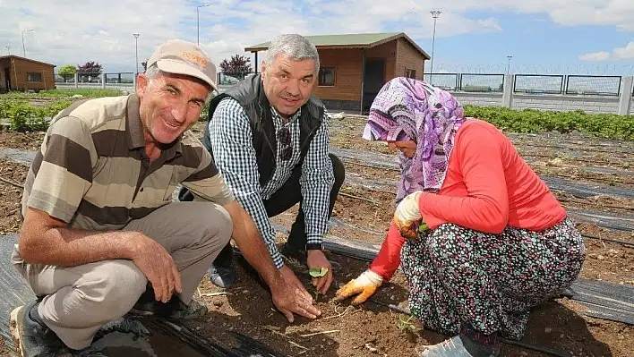 Organik bahçe sezonu açıldı