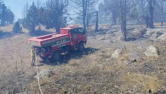 Orman yangını kontrol altına alındı