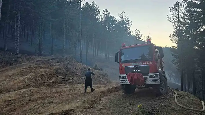 Adana'daki orman yangını kontrol altına alındı