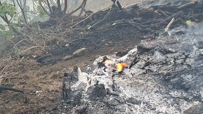 Orman yangına 5 helikopter ve 110 personel müdahale ediyor