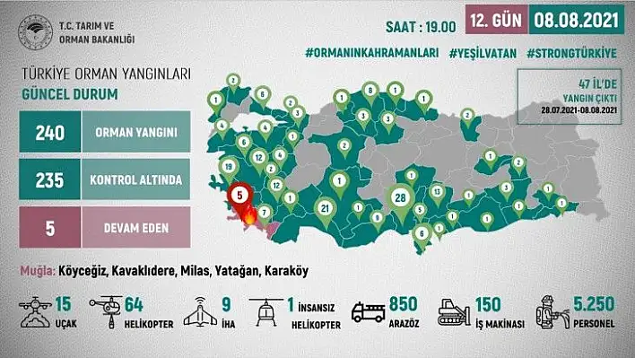 Orman Yangınları ile ilgili açıklama! İşte son durum