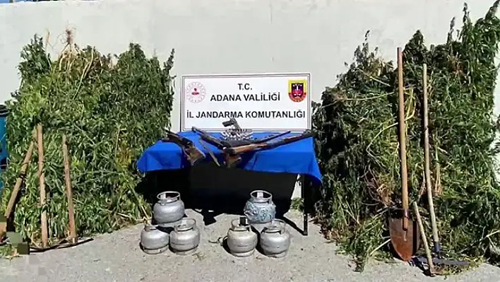 Ormanda uyuşturucu yetiştirilmiş! 2 şahıs gözaltında