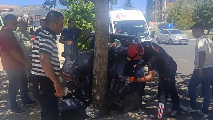 Otomobil ağaca çarptı