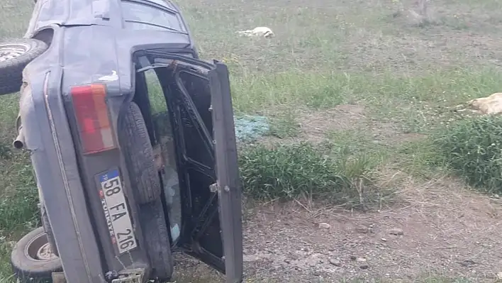 Otomobil koyun sürüsüne çarptı!