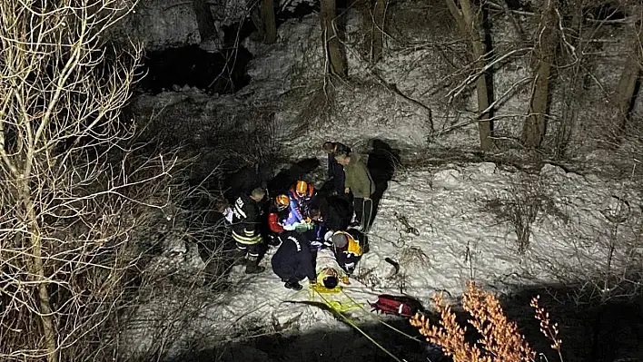 Kardan kayan otomobil şarampole devrildi