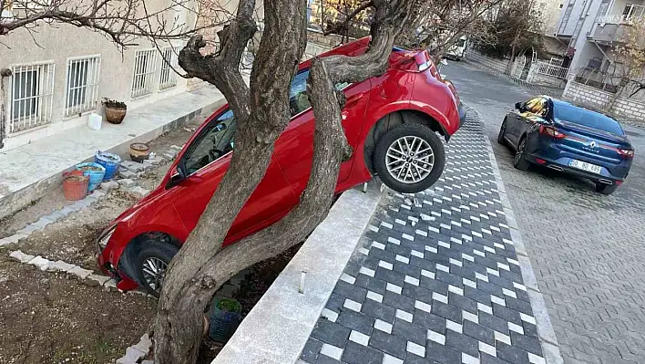 Otomobilini park ederken bahçeye düştü