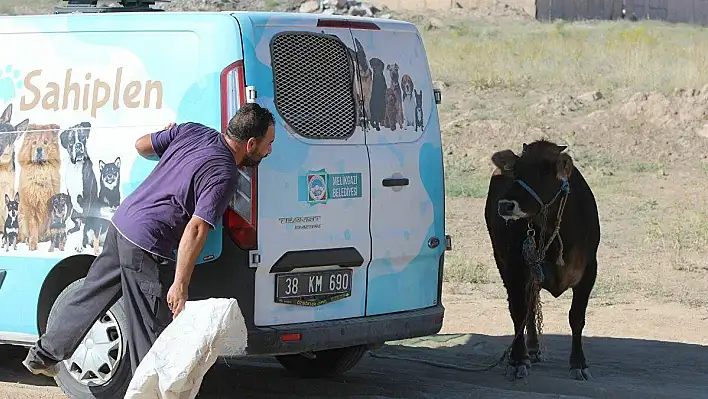 Kaçan kurbana böyle seslendi: Gel kurban olduğum 