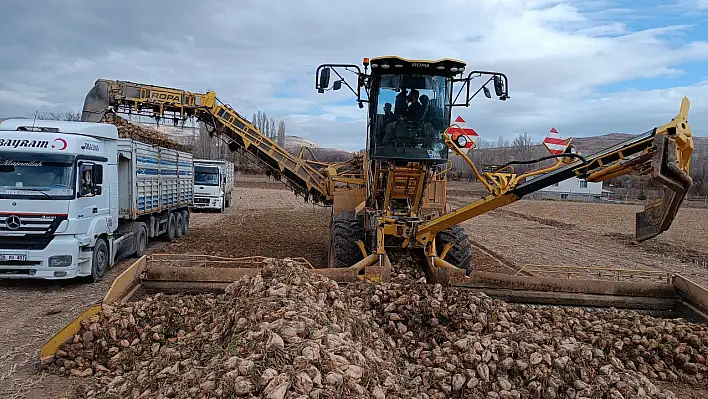 Özvatan'da şeker pancarı hasadı tamamlandı