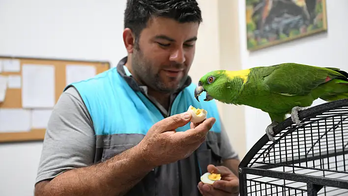 Papağanlarla 12 yıllık dostluk! 'Onlar artık bizim çocuğumuz oldu'
