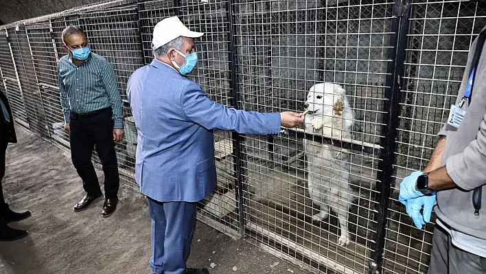 Patilere daha iyi bir yaşam için işbirliği!