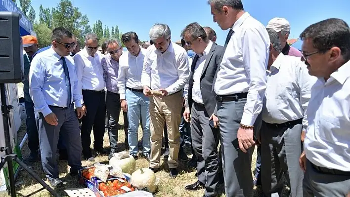 Pınarbaşı'daki tarla gününe büyük ilgi
