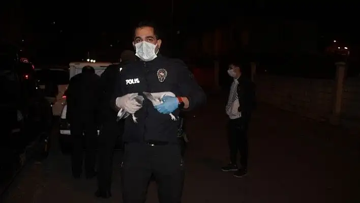 Polisi şaşırtan manzara