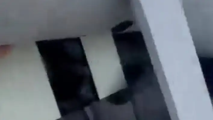Şaka ölümle sonuçlanıyordu