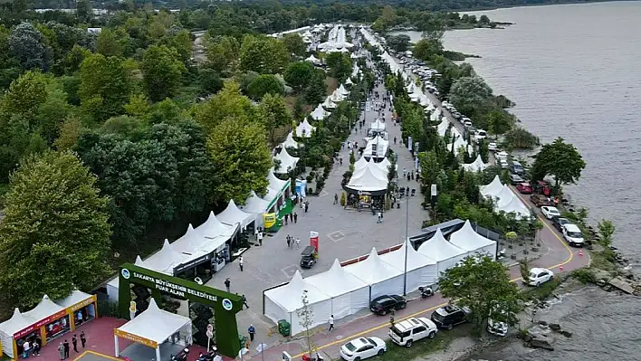 Sakarya'ya gitti, ilçenin yeşil dokusu için