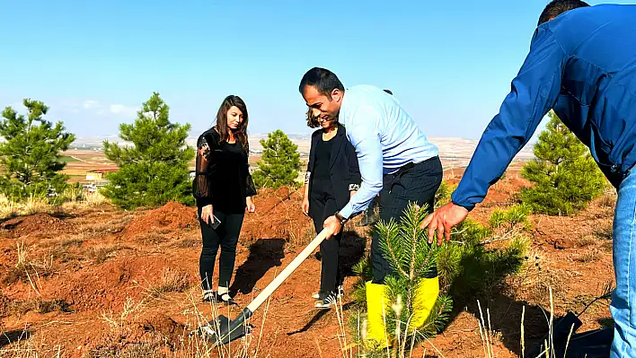 Sarıoğlan'da yeşil miras