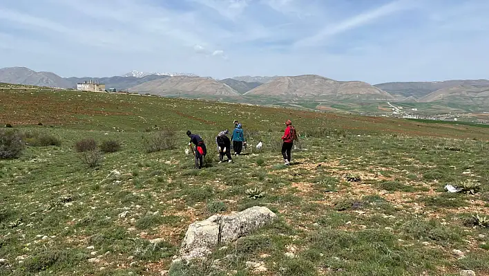 Sarız yeşilleniyor