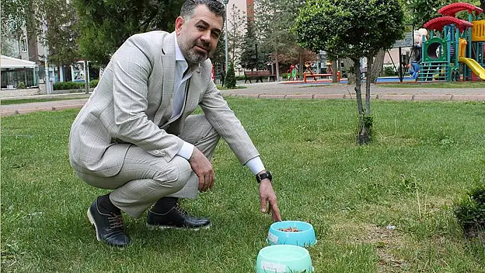 Sedat Kılınç İnşaat AŞ sokak hayvanlarını sahipsiz bırakmadı