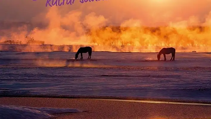 'Şehir Kültür Sanat' ve 'Düşünen Şehir' dergilerinin yeni sayıları çıktı