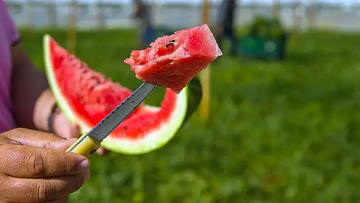 Sıcaklar arttı, yaz aylarının serinleten meyvesi nasıl seçilir?