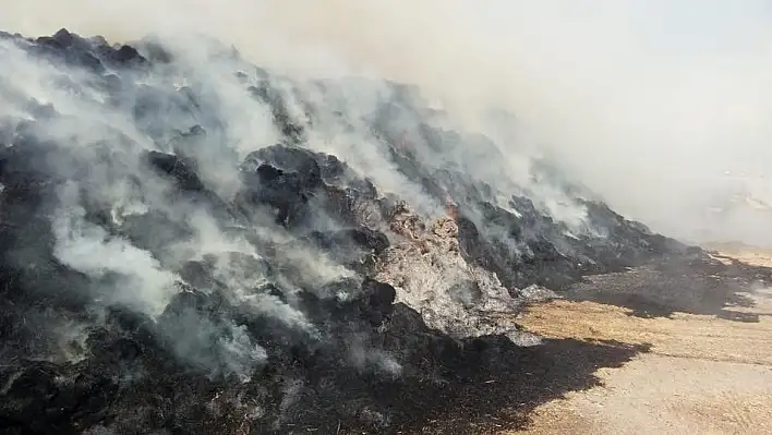 Sigara izmariti 3 bin balya samanı kül etti