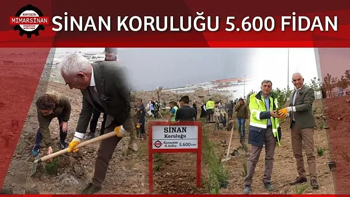 Sinan Koruluğu'nda ilk fidanlar toprakla buluştu
