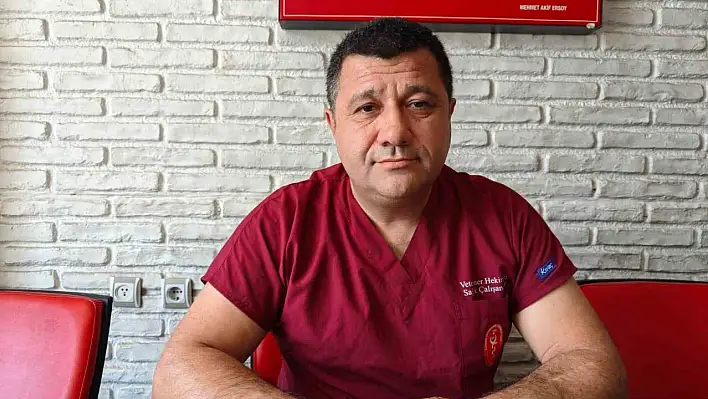 Kayseri'de sinek popülasyonu patladı: Klasik ilaçlar artık işe yaramıyor!