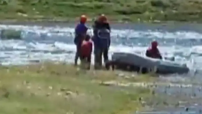 Adada mahsur kalan 3 çocuk ve 2 köpek kurtarıldı