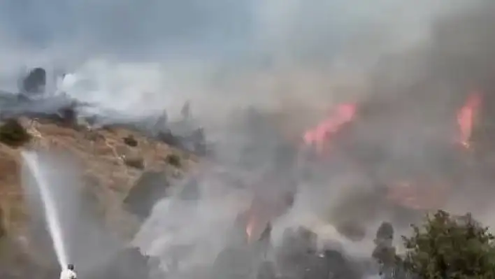 Sivas'ta ağaçlık alanda yangın çıktı