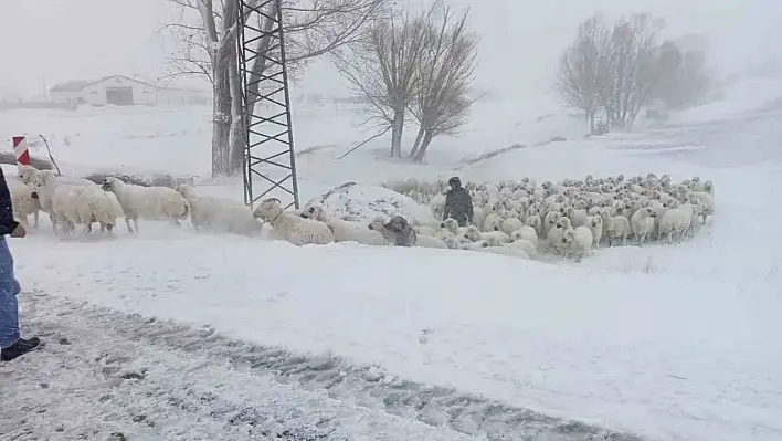 Sürüsü ile mahsur kalan çobanı ekipler kurtardı