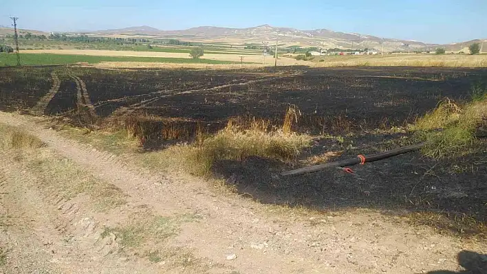 Sivas'ta tarla yangınında 50 dönüm ekili alan kül oldu