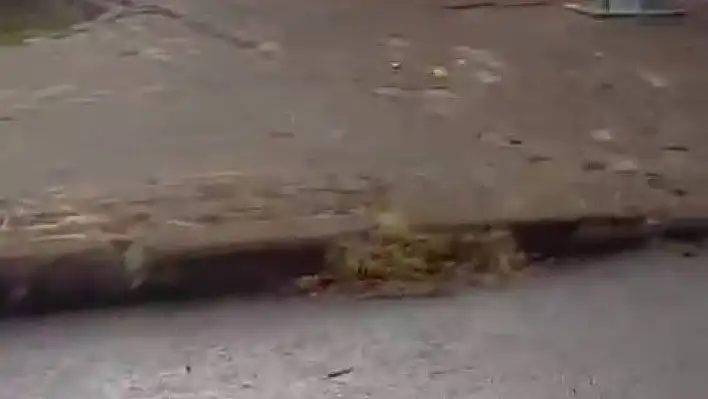 Otomobil alev alev yandı!