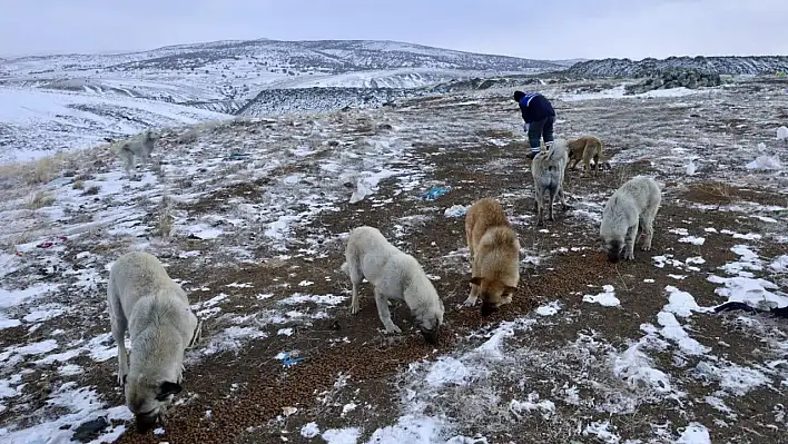 Soğuk kış günlerinde can dostları unutulmadı