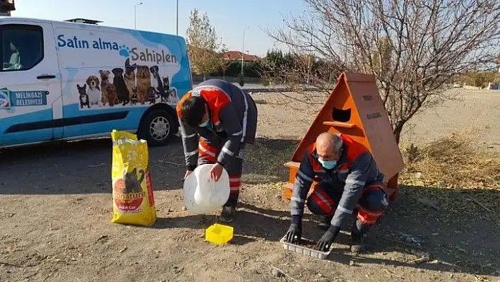 Sokağa çıkma kısıtlamasında Melikgazi'de sokak hayvanları unutulmadı